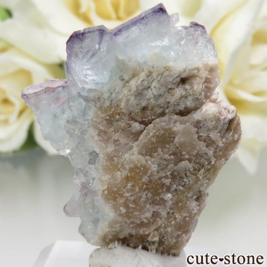 ɥ Dorfel Quarry ꡼ߥѡץե饤 No.30μ̿0 cute stone