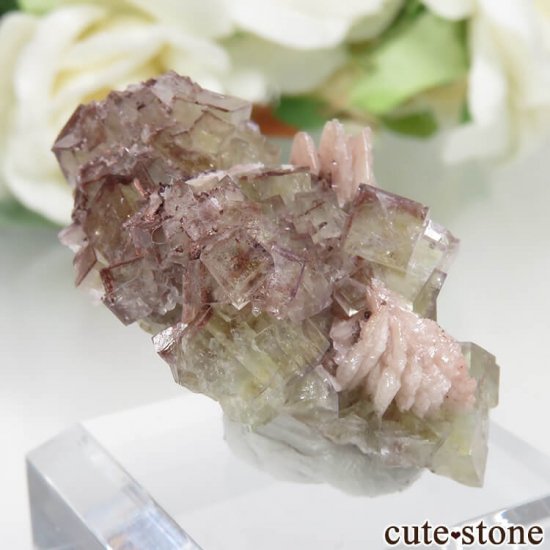 ɥ Dorfel Quarry ե饤ȡߥХ饤 No.31μ̿0 cute stone