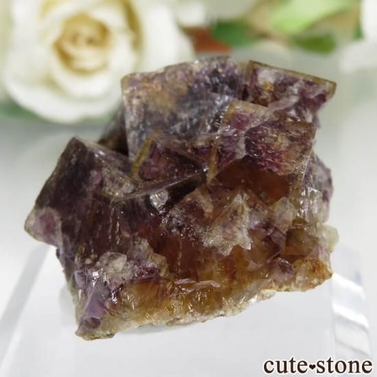 ɥ Dorfel Quarry ߥѡץե饤 No.32μ̿1 cute stone