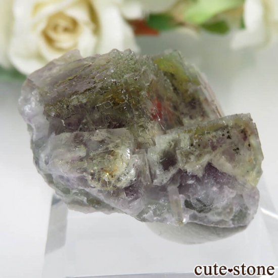 ɥ Dorfel Quarry ꡼ߥѡץե饤 No.33μ̿0 cute stone