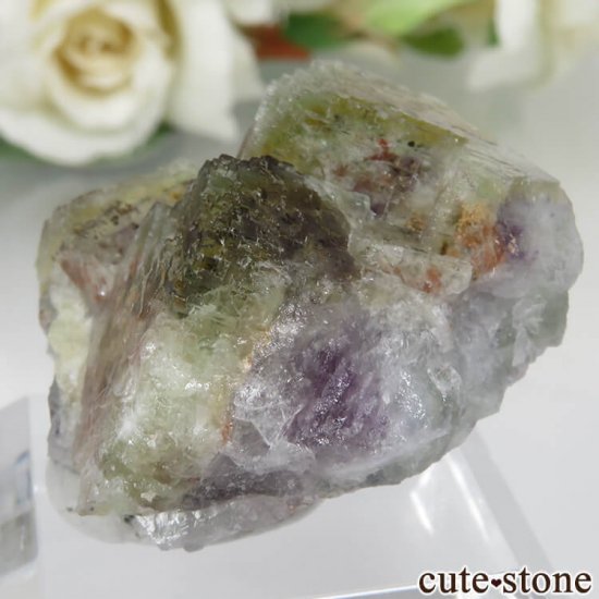 ɥ Dorfel Quarry ꡼ߥѡץե饤 No.33μ̿1 cute stone