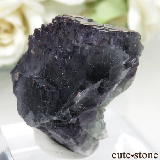 ɥ Dorfel Quarry ֥롼ߥ꡼ե饤 No.34μ̿1 cute stone