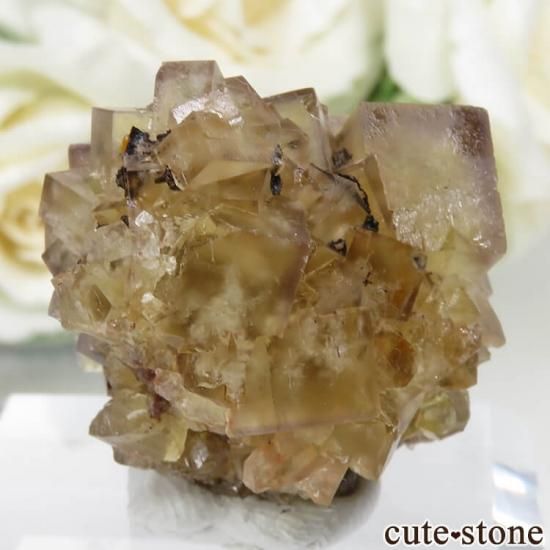 ɥ Dorfel Quarry ե饤 No.36μ̿0 cute stone