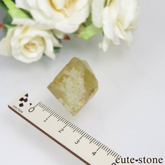 ɥ Dorfel Quarry ե饤ȡ No.37μ̿3 cute stone
