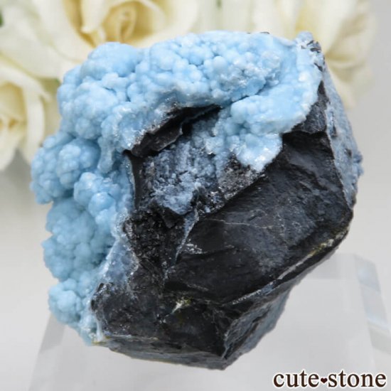  ʻ ֥Ȥդ뾽ʸСNo.5μ̿1 cute stone