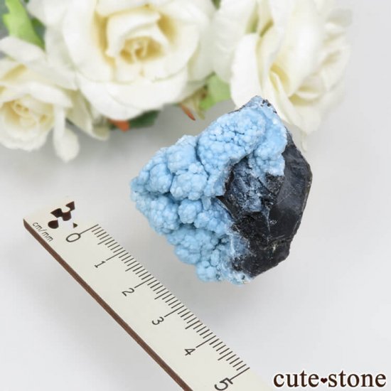  ʻ ֥Ȥդ뾽ʸСNo.5μ̿2 cute stone