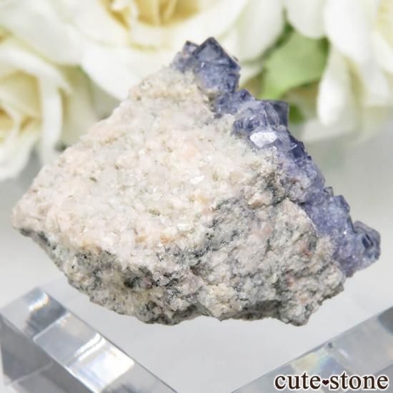 アイルランド Larkin's Quarry産 ブルーフローライトの結晶(原石)No.18の写真0 cute stone