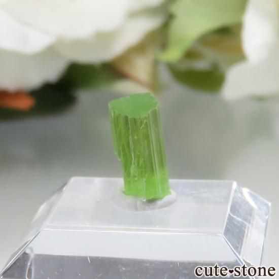 󥶥˥ Merelani Hills ȥ饤Ȥθ No.1μ̿0 cute stone