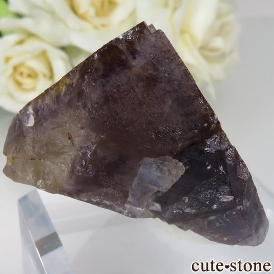 ե Valzergues ե饤Ȥη뾽ʸСNo.11μ̿4 cute stone
