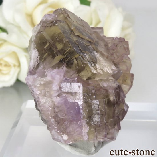 ե Fontsante Mine 饤ȥߥ饤ȥѡץե饤Ȥθ No.16μ̿0 cute stone
