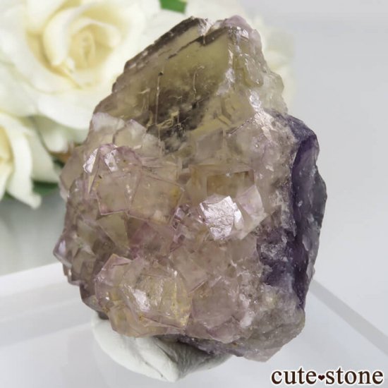 ե Fontsante Mine 饤ȥߥ饤ȥѡץե饤Ȥθ No.16μ̿2 cute stone