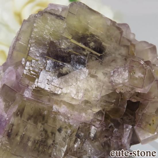 ե Fontsante Mine 饤ȥߥ饤ȥѡץե饤Ȥθ No.16μ̿3 cute stone