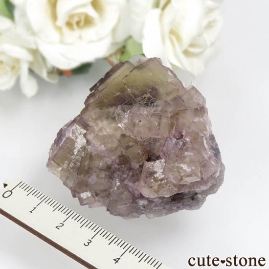 ե Fontsante Mine 饤ȥߥ饤ȥѡץե饤Ȥθ No.16μ̿5 cute stone