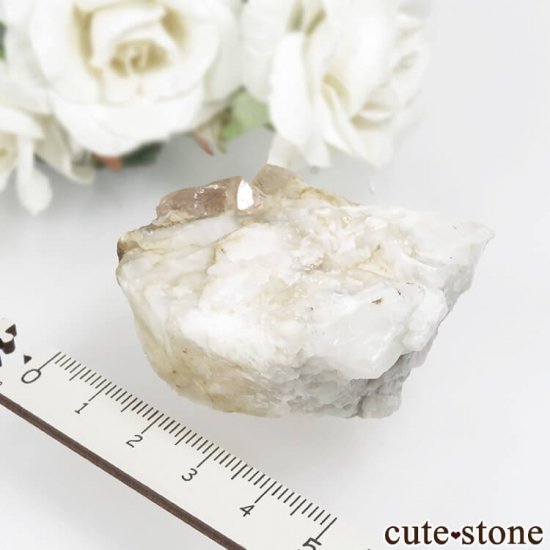 ѥ Katlang 󥸥ԥ󥯥ȥѡ (ڥꥢȥѡ)դ No.13μ̿3 cute stone