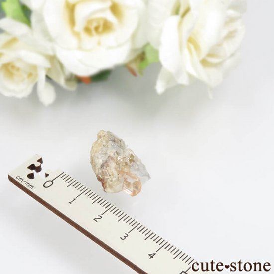 ѥ Katlang 󥸥ԥ󥯥ȥѡ (ڥꥢȥѡ)դ No.15μ̿3 cute stone