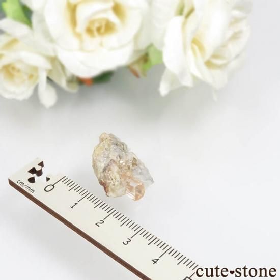 ѥ Katlang 󥸥ԥ󥯥ȥѡ (ڥꥢȥѡ)դ No.15μ̿3 cute stone