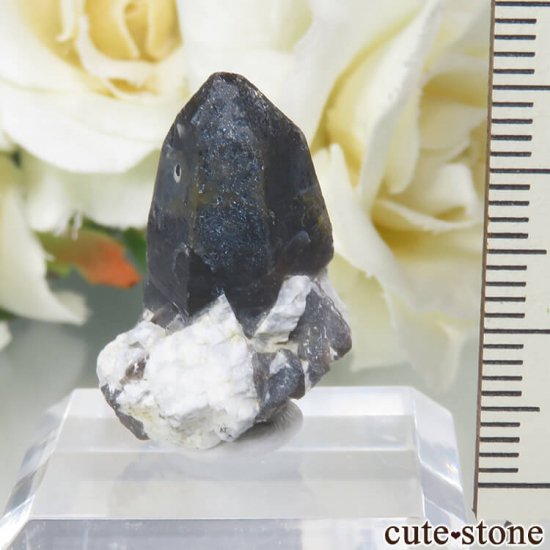 饤 Khoroshiv 󥴡 - ꥪ(徽)θ No.8μ̿0 cute stone