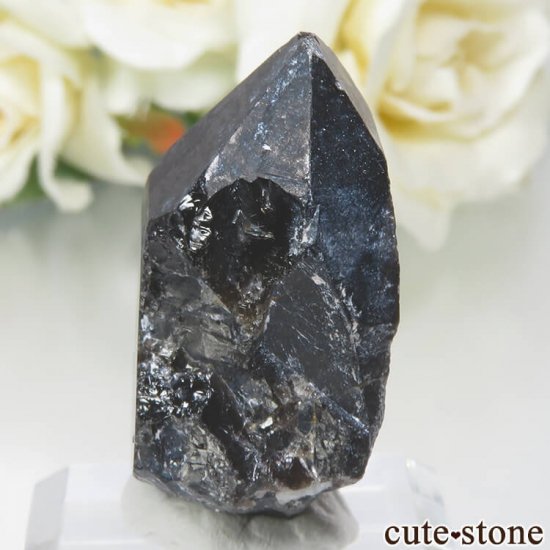 饤 Khoroshiv 󥴡 - ꥪ(徽)θ No.9μ̿1 cute stone