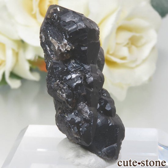 饤 Khoroshiv 󥴡 - ꥪ(徽)θ No.10μ̿0 cute stone