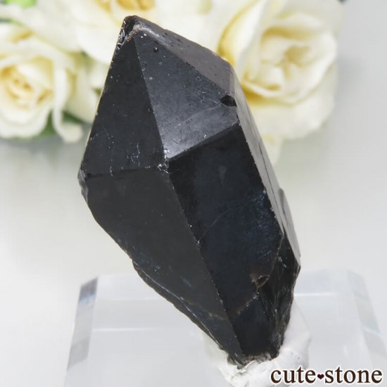 饤 Khoroshiv 󥴡 - ꥪ(徽)θ No.11μ̿0 cute stone