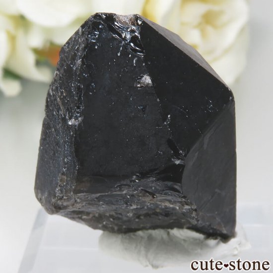 饤 Khoroshiv 󥴡 - ꥪ(徽)θ No.11μ̿1 cute stone