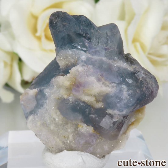5ǯǰۥե Le Beix Mine֥롼ե饤&Ĥθ No.1μ̿0 cute stone