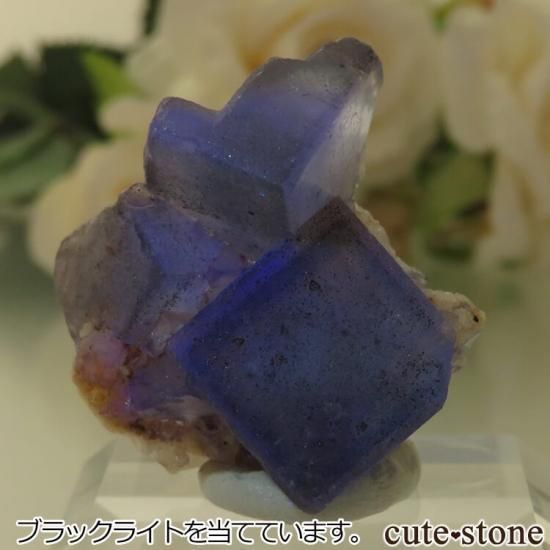 5ǯǰۥե Le Beix Mine֥롼ե饤&Ĥθ No.1μ̿1 cute stone