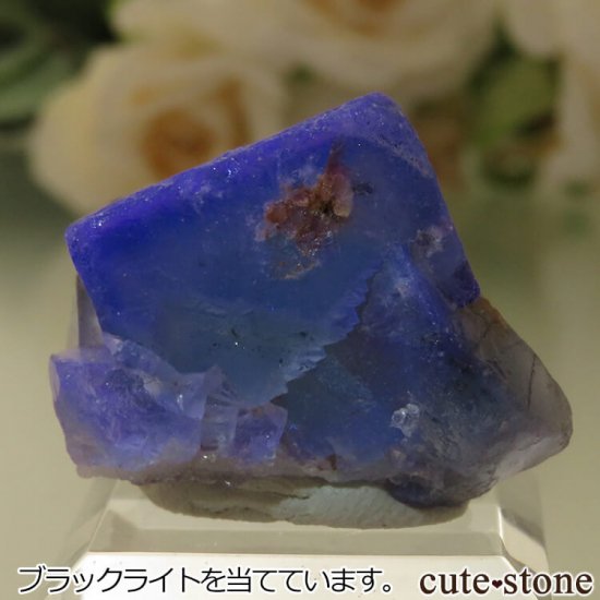 5ǯǰۥե Le Beix Mine֥롼ե饤&Ĥθ No.2μ̿1 cute stone