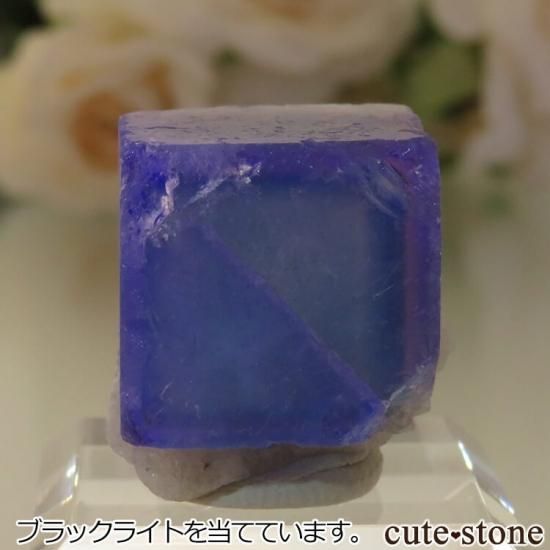 5ǯǰۥե Le Beix Mine֥롼ե饤&Ĥθ No.3μ̿1 cute stone
