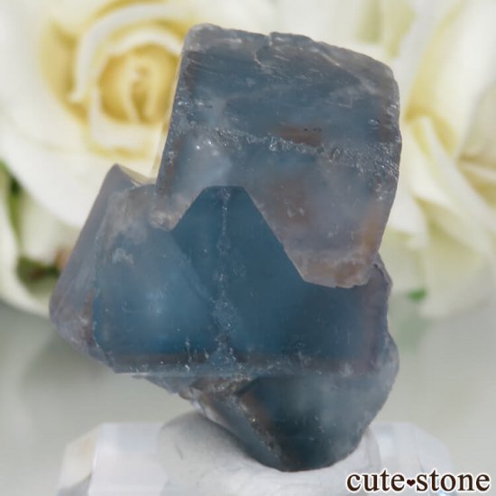 5ǯǰۥե Le Beix Mine֥롼ե饤&Ĥθ No.4μ̿0 cute stone