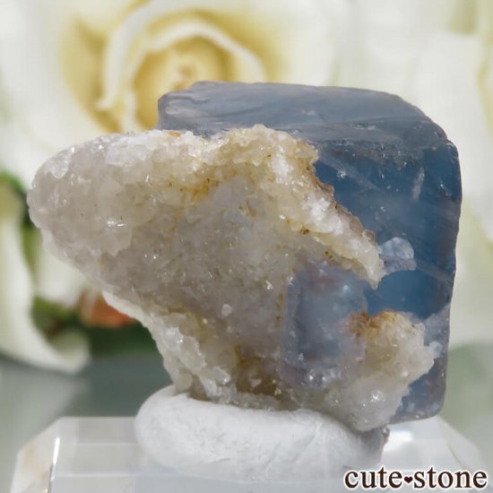 5ǯǰۥե Le Beix Mine֥롼ե饤&Ĥθ No.6μ̿0 cute stone