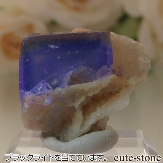 5ǯǰۥե Le Beix Mine֥롼ե饤&Ĥθ No.6μ̿1 cute stone