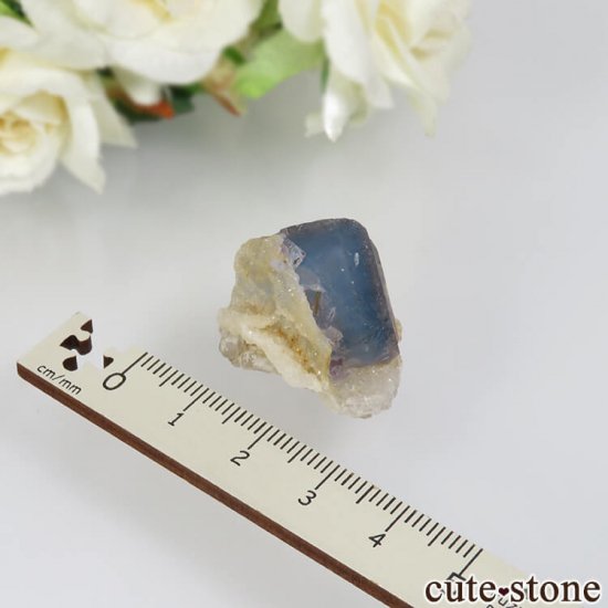 5ǯǰۥե Le Beix Mine֥롼ե饤&Ĥθ No.6μ̿2 cute stone
