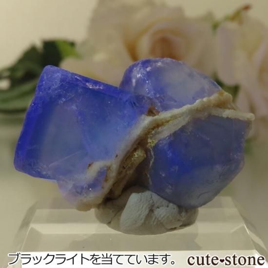 5ǯǰۥե Le Beix Mine֥롼ե饤Ȥθ No.7μ̿1 cute stone