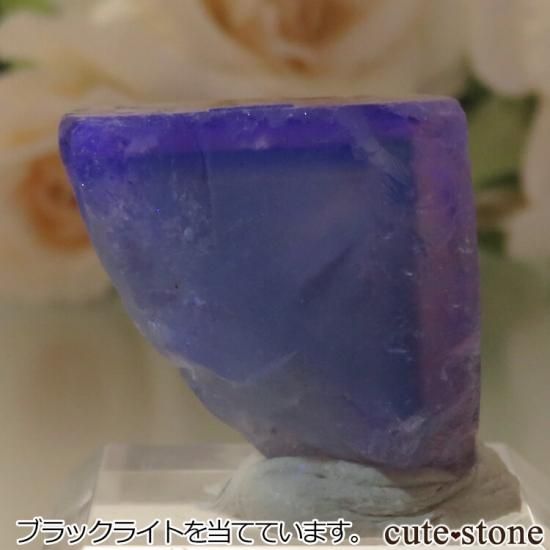 5ǯǰۥե Le Beix Mine֥롼ե饤Ȥθ No.9μ̿1 cute stone