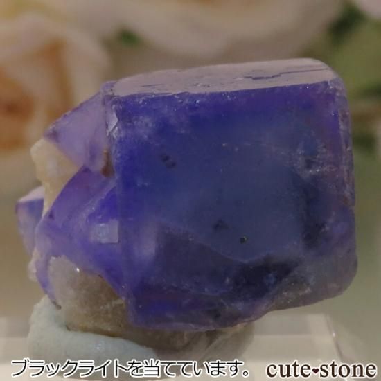 5ǯǰۥե Le Beix Mine֥롼ե饤&Ĥθ No.10μ̿1 cute stone