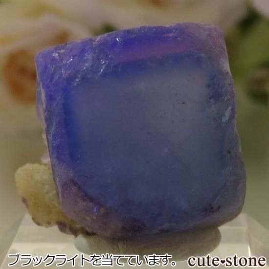 5ǯǰۥե Le Beix Mine֥롼ե饤&Ĥθ No.12μ̿1 cute stone