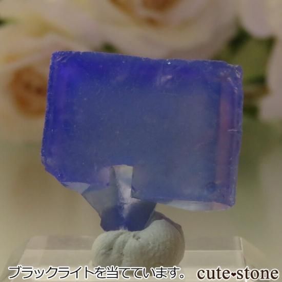 5ǯǰۥե Le Beix Mine֥롼ե饤Ȥθ No.13μ̿1 cute stone