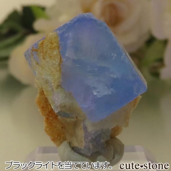 5ǯǰۥե Le Beix Mine֥롼ե饤&Ĥθ No.14μ̿1 cute stone