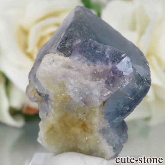 5ǯǰۥե Le Beix Mine֥롼ե饤&Ĥθ No.15μ̿0 cute stone