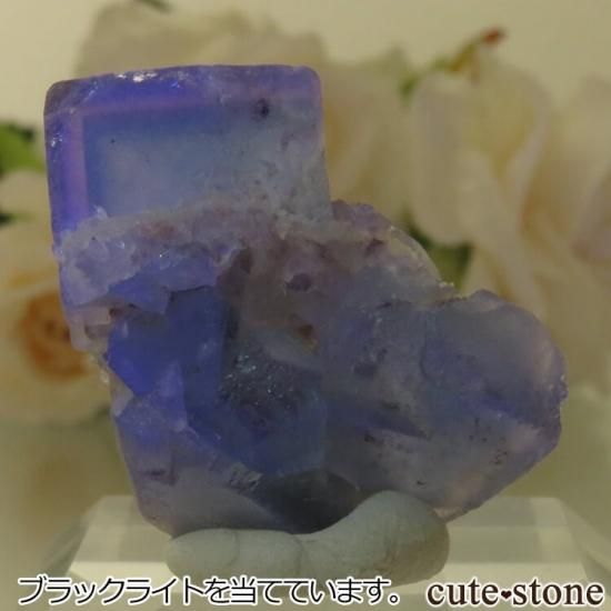 5ǯǰۥե Le Beix Mine֥롼ե饤Ȥθ No.16μ̿1 cute stone