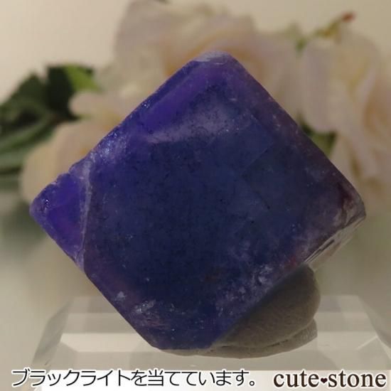 5ǯǰۥե Le Beix Mine֥롼ե饤Ȥθ No.18μ̿1 cute stone