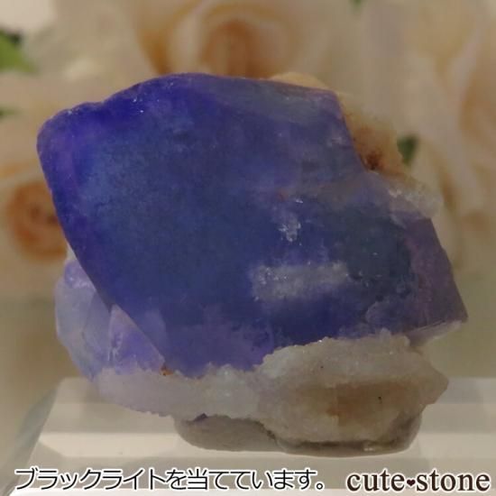 5ǯǰۥե Le Beix Mine֥롼ե饤&Ĥθ No.20μ̿1 cute stone