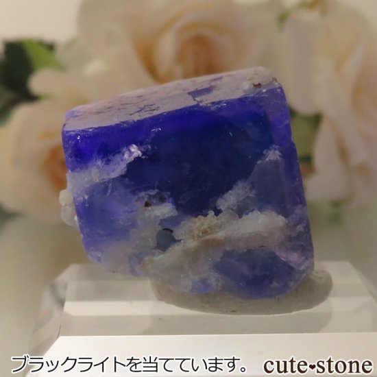 5ǯǰۥե Le Beix Mine֥롼ե饤&Ĥθ No.21μ̿1 cute stone