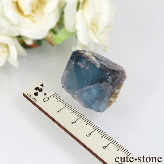 5ǯǰۥե Le Beix Mine֥롼ե饤&Ĥθ No.21μ̿2 cute stone