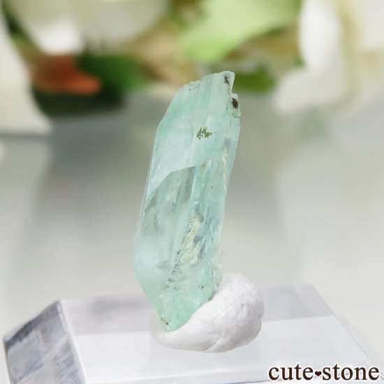 ܥӥ Unificada Mine եեե饤Ȥη뾽 No.37μ̿3 cute stone