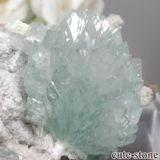  Rahuri 饤ȥ꡼󥢥ݥե饤ȡƥХȤθ No.2μ̿3 cute stone