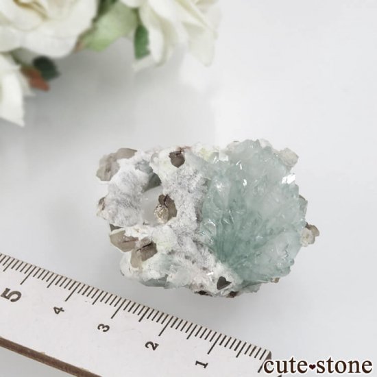  Rahuri 饤ȥ꡼󥢥ݥե饤ȡƥХȤθ No.2μ̿5 cute stone