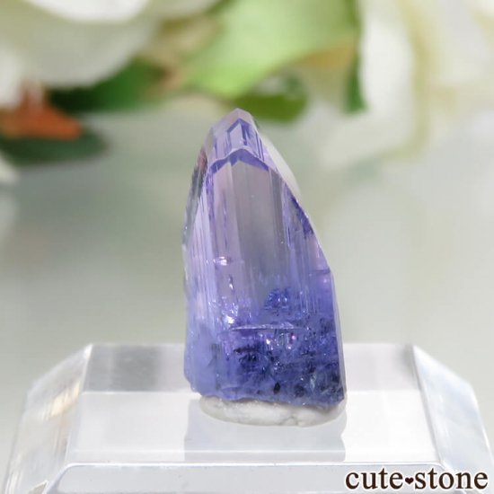 󥶥˥ ˻ 󥶥ʥȤθ No.42μ̿0 cute stone