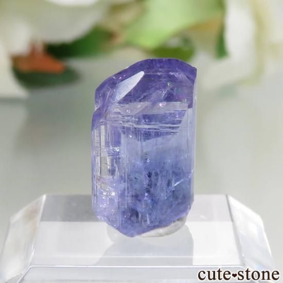 󥶥˥ ˻ 󥶥ʥȤθ No.42μ̿1 cute stone
